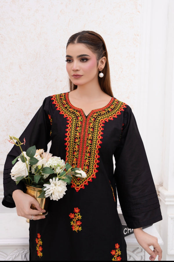 Kashmiraa Embroidered 2Pc